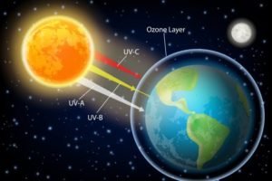 Ozone layer depletion, causes and effects