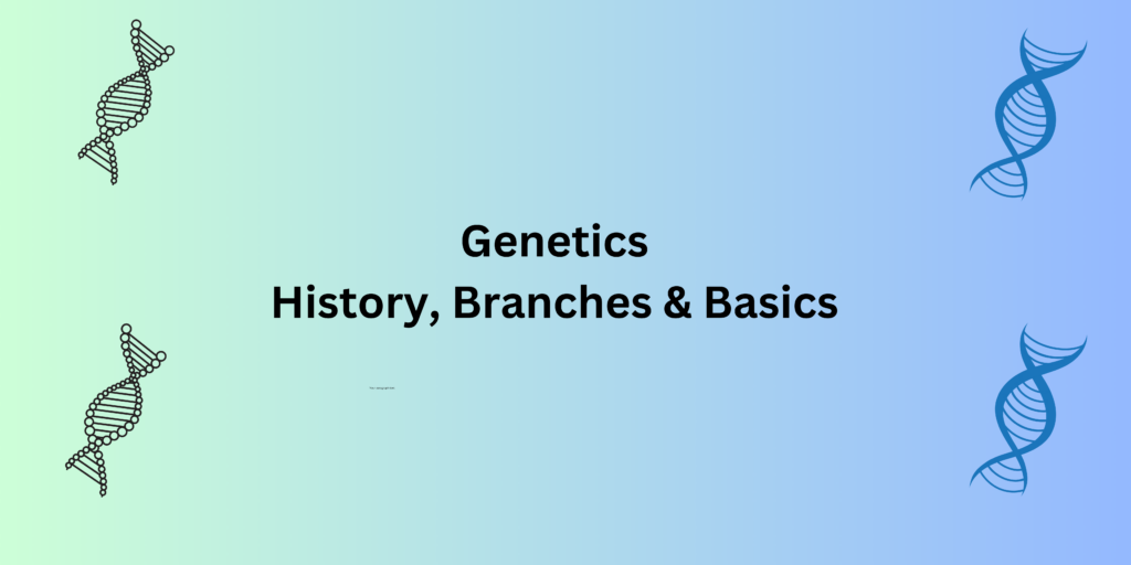 GENETICS: Introduction, History And Branches | UO Chemists