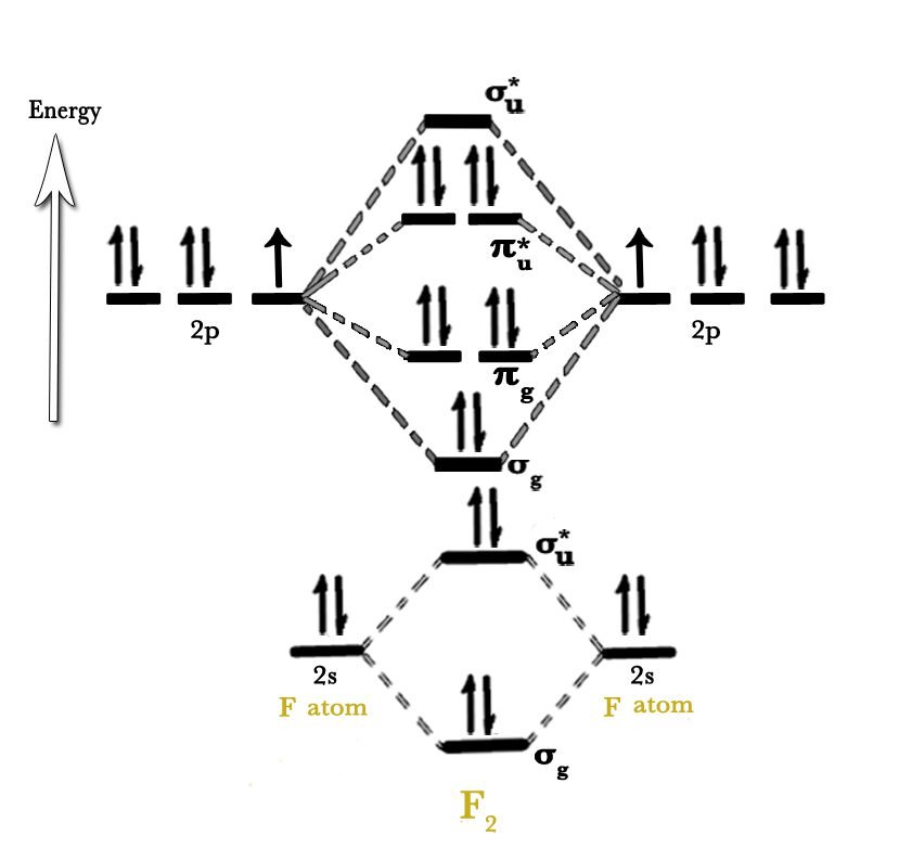 MOT diagram of Fluorine