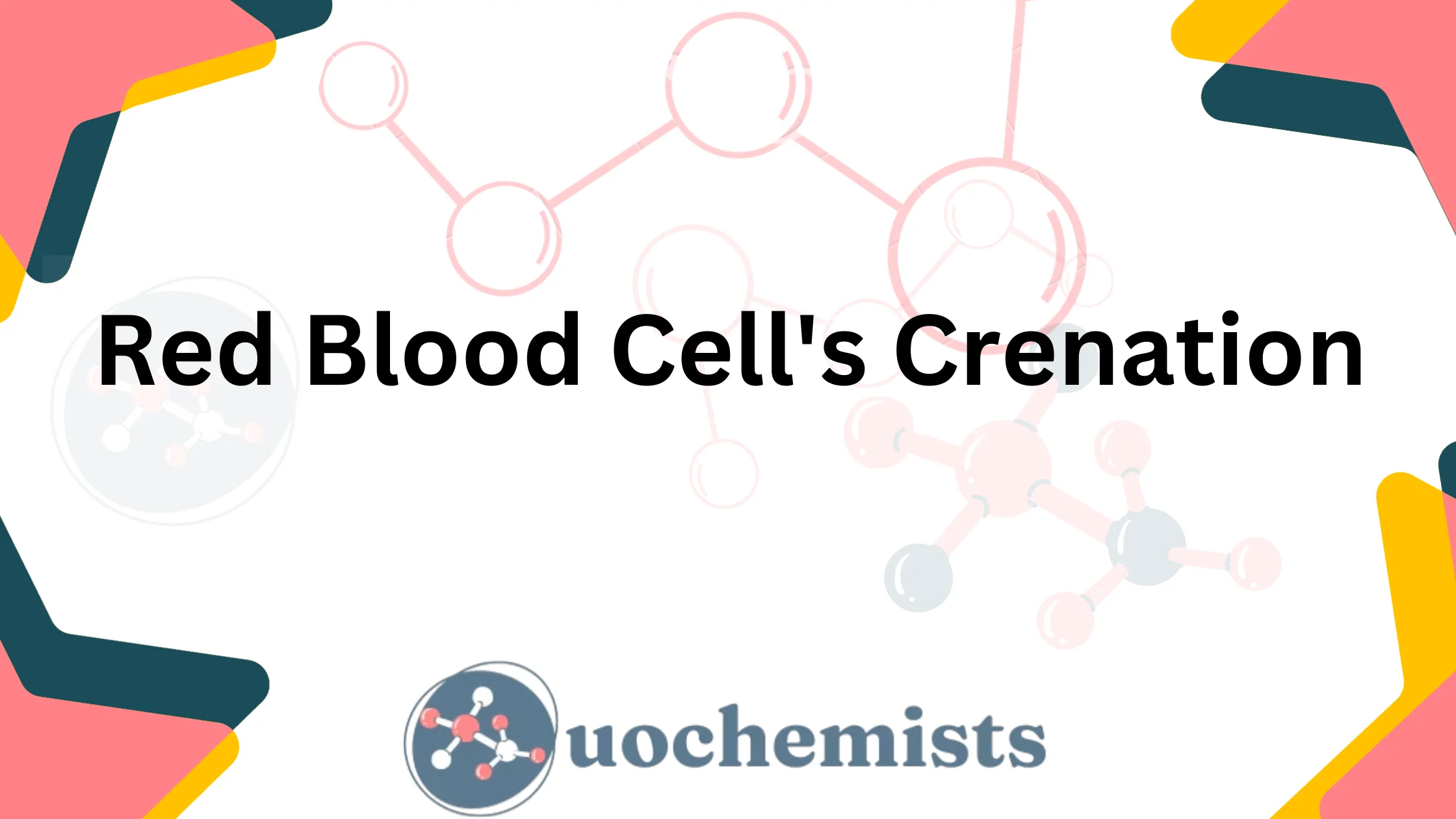 Red Blood Cells Crenation: Causes and Solutions | UO Chemists